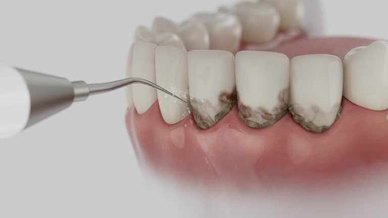 Reliable Dental contractor in Tylertown, MS by Dentist Open Now